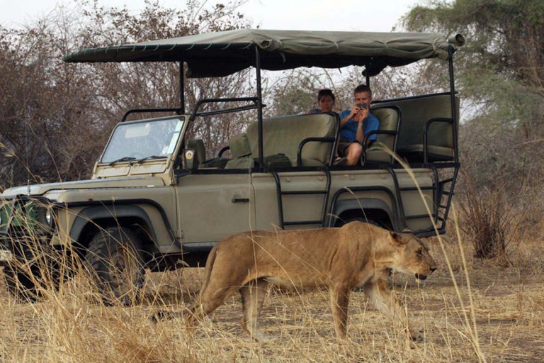 selous-game-reserve-3